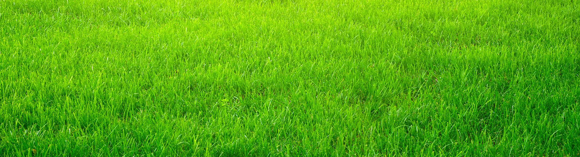 公司簡介